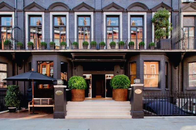 Thiết Kế Boutique